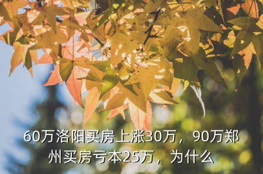 60萬洛陽買房上漲30萬，90萬鄭州買房虧本25萬，為什么
