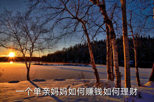一個(gè)單親媽媽如何賺錢如何理財(cái)
