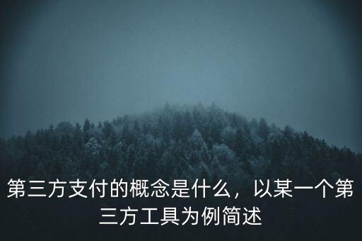 第三方支付的概念是什么，以某一個(gè)第三方工具為例簡(jiǎn)述