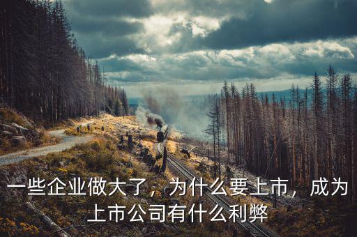 一些企業(yè)做大了，為什么要上市，成為上市公司有什么利弊