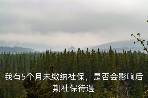 我有5個(gè)月未繳納社保，是否會(huì)影響后期社保待遇