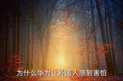 為什么華為讓外國人感到害怕