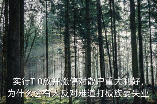 實行T 0放開漲停對散戶重大利好，為什么會有人反對難道打板族要失業(yè)