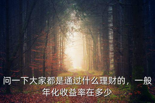 問一下大家都是通過什么理財?shù)?，一般年化收益率在多? class=