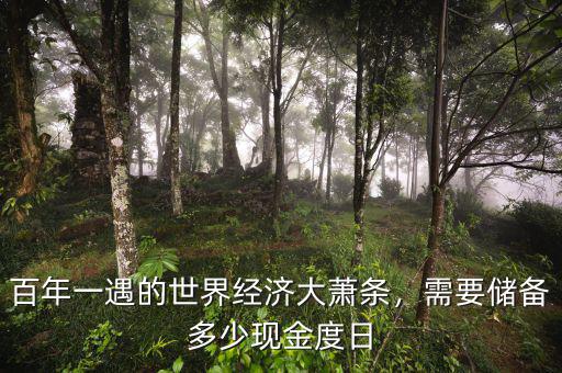 百年一遇的世界經(jīng)濟大蕭條，需要儲備多少現(xiàn)金度日