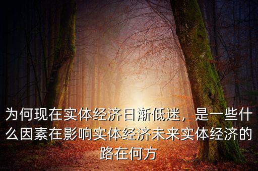 為何現(xiàn)在實(shí)體經(jīng)濟(jì)日漸低迷，是一些什么因素在影響實(shí)體經(jīng)濟(jì)未來實(shí)體經(jīng)濟(jì)的路在何方