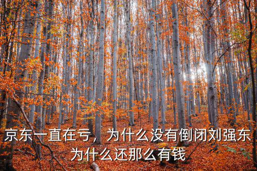 京東一直在虧，為什么沒有倒閉劉強(qiáng)東為什么還那么有錢