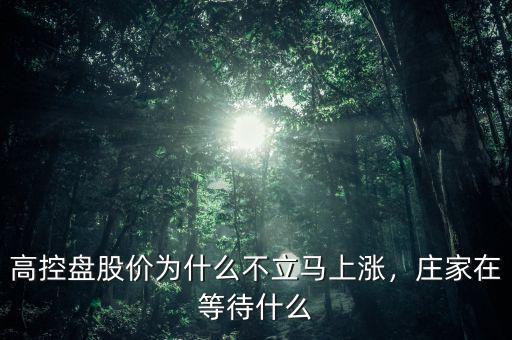 高控盤股價(jià)為什么不立馬上漲，莊家在等待什么