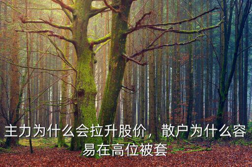 主力怎么拉升股價,主力到底是如何拉升股價的