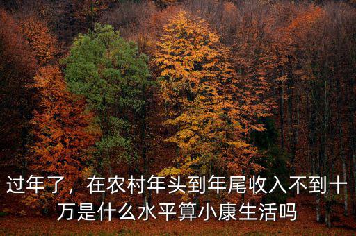 過(guò)年了，在農(nóng)村年頭到年尾收入不到十萬(wàn)是什么水平算小康生活嗎