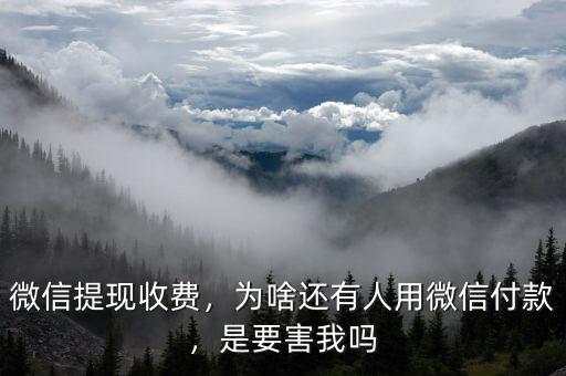 微信提現(xiàn)收費(fèi)，為啥還有人用微信付款，是要害我嗎