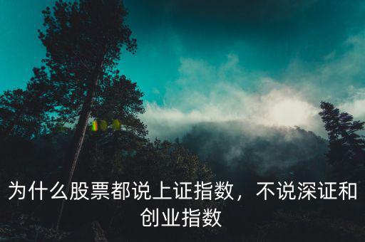 為什么股票都說上證指數，不說深證和創(chuàng)業(yè)指數