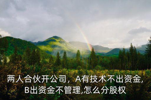 兩人合伙開公司，A有技術(shù)不出資金,B出資金不管理,怎么分股權(quán)
