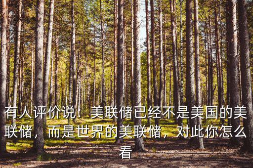 有人評價(jià)說：美聯(lián)儲已經(jīng)不是美國的美聯(lián)儲，而是世界的美聯(lián)儲，對此你怎么看