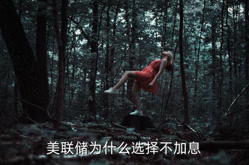 美國為什么遲遲不加息,美聯(lián)儲(chǔ)為什么選擇不加息