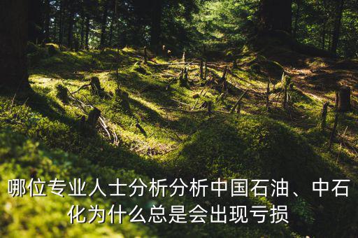 哪位專業(yè)人士分析分析中國石油、中石化為什么總是會(huì)出現(xiàn)虧損