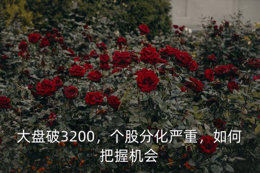 大盤破3200，個(gè)股分化嚴(yán)重，如何把握機(jī)會(huì)