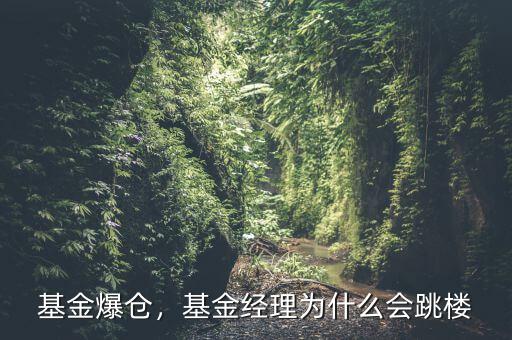 基金爆倉，基金經(jīng)理為什么會跳樓