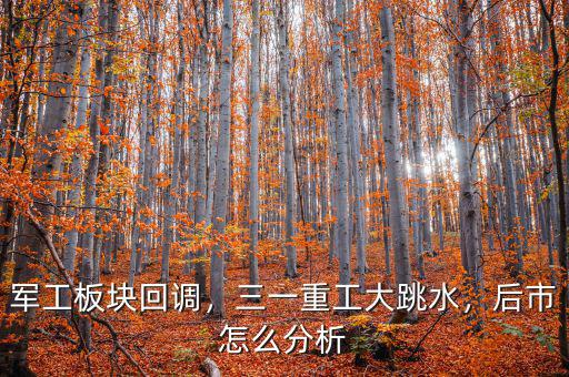 軍工板塊回調(diào)，三一重工大跳水，后市怎么分析