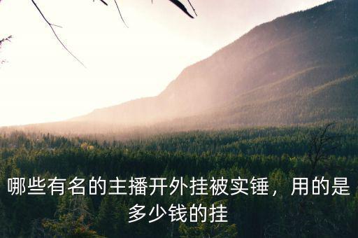 哪些有名的主播開外掛被實錘，用的是多少錢的掛