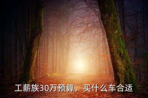 工薪族30萬預(yù)算，買什么車合適