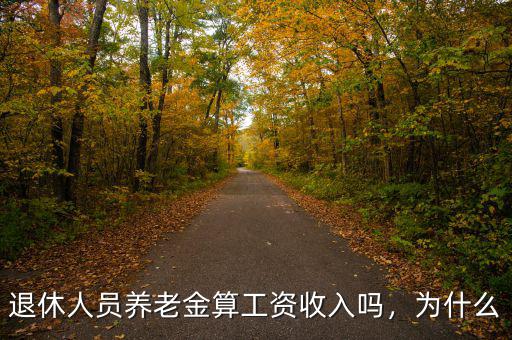 退休人員養(yǎng)老金算工資收入嗎，為什么