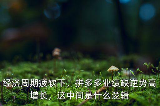 經(jīng)濟(jì)周期疲軟下，拼多多業(yè)績(jī)?nèi)蹦鎰?shì)高增長(zhǎng)，這中間是什么邏輯