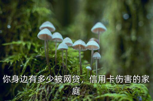有多少人被信用卡弄死啦,有多少人會被信用卡負(fù)債拖垮