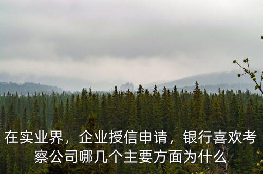 在實(shí)業(yè)界，企業(yè)授信申請(qǐng)，銀行喜歡考察公司哪幾個(gè)主要方面為什么