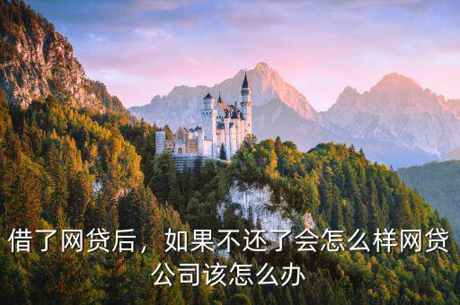 借了網(wǎng)貸后，如果不還了會怎么樣網(wǎng)貸公司該怎么辦