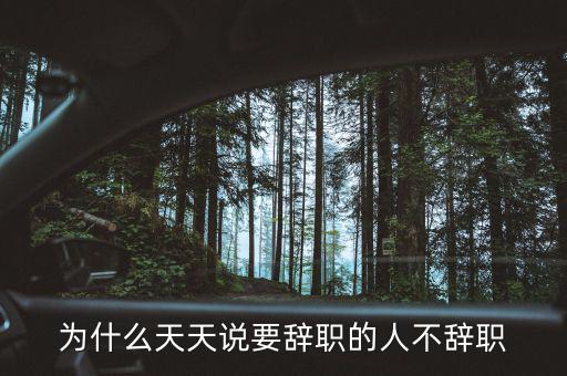 洪立峰為什么辭職,為什么一些人從公務(wù)員辭職