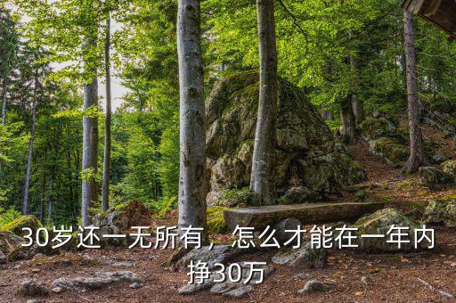 30歲還一無所有，怎么才能在一年內掙30萬