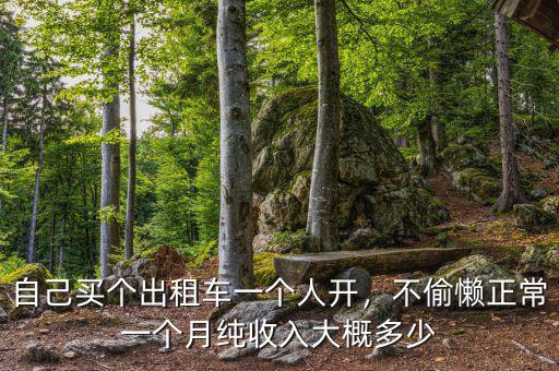 自己買個(gè)出租車一個(gè)人開，不偷懶正常一個(gè)月純收入大概多少