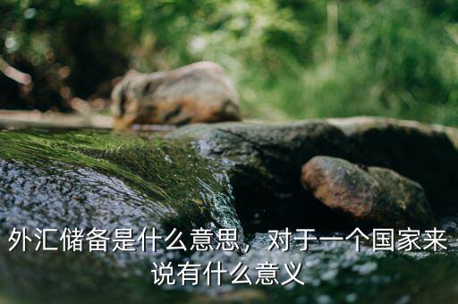 外匯儲備是什么意思，對于一個國家來說有什么意義