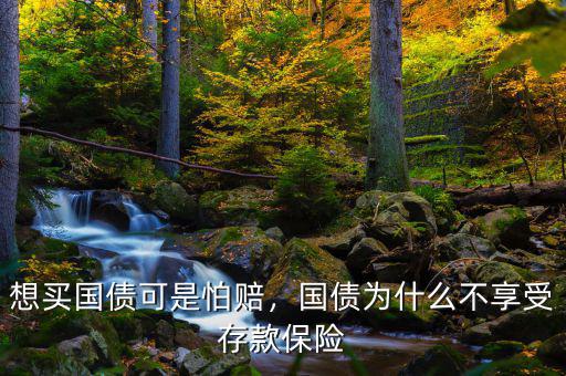 想買國(guó)債可是怕賠，國(guó)債為什么不享受存款保險(xiǎn)