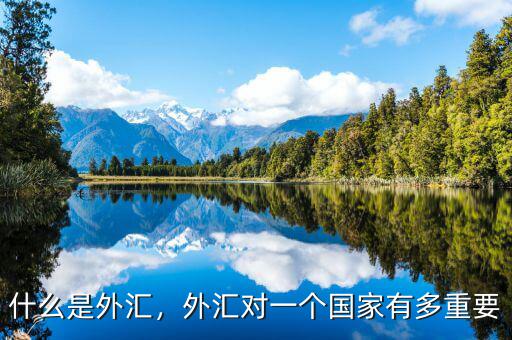 什么是外匯，外匯對一個國家有多重要
