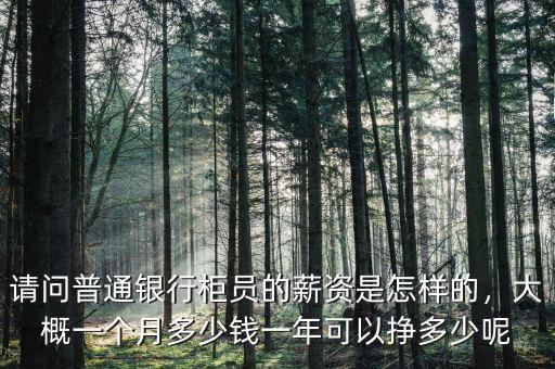 請(qǐng)問(wèn)普通銀行柜員的薪資是怎樣的，大概一個(gè)月多少錢一年可以掙多少呢