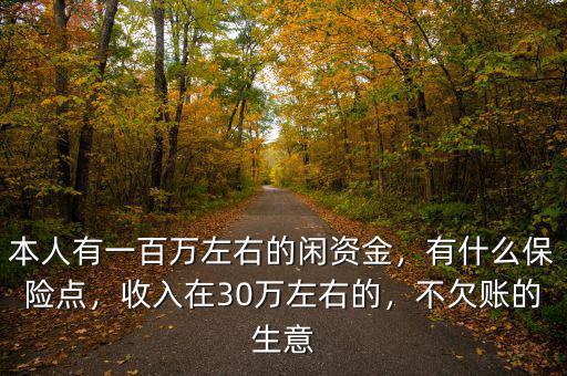 本人有一百萬左右的閑資金，有什么保險點，收入在30萬左右的，不欠賬的生意
