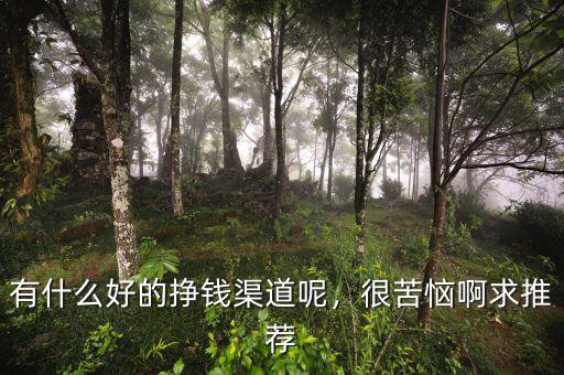 有什么好的掙錢渠道呢，很苦惱啊求推薦
