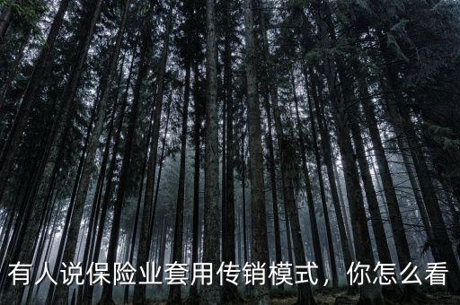 有人說保險業(yè)套用傳銷模式，你怎么看