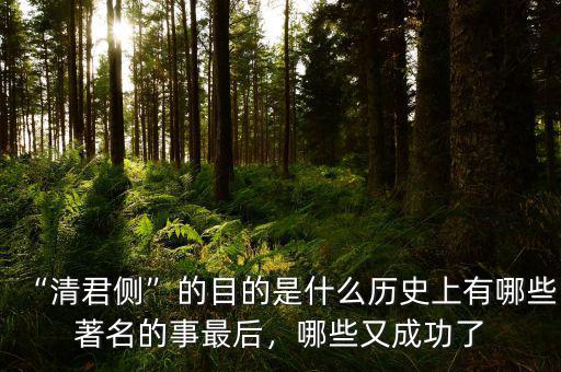 側(cè)的意思是什么,歷史上有哪些著名的事