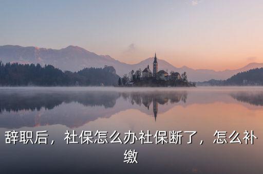 辭職后，社保怎么辦社保斷了，怎么補繳