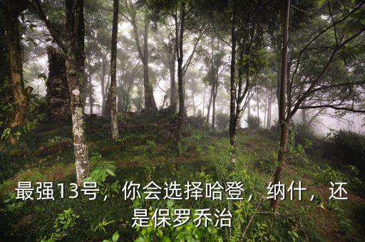 最強(qiáng)13號，你會選擇哈登，納什，還是保羅喬治