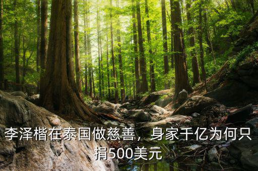 李澤楷在泰國做慈善，身家千億為何只捐500美元
