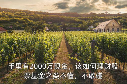 手里有2000萬現(xiàn)金，該如何理財(cái)股票基金之類不懂，不敢碰