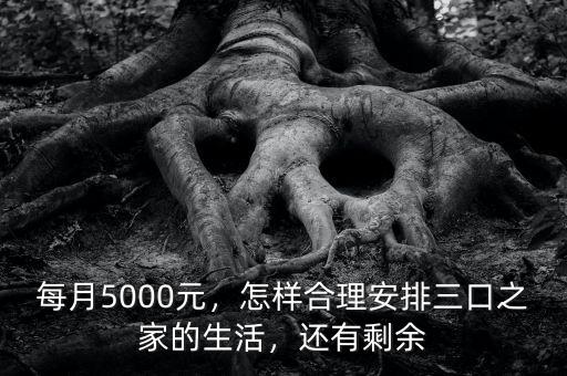 每月5000元，怎樣合理安排三口之家的生活，還有剩余