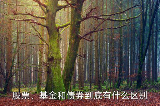股票、基金和債券到底有什么區(qū)別