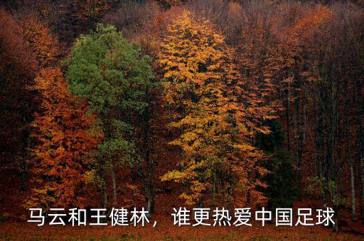 馬云和王健林，誰(shuí)更熱愛(ài)中國(guó)足球