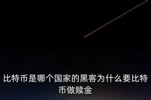 比特幣是哪個(gè)國(guó)家的黑客為什么要比特幣做贖金