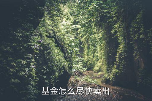 基金快速賣出什么意思,基金轉換和賣出有什么區(qū)別